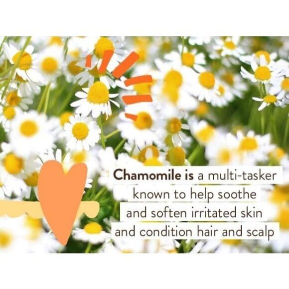 Babo Botanicals Sensitive Baby Fragrance-Free All Natural Healing Ointment - Picture 6 of 14